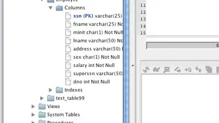 Sybase IQ screenshot