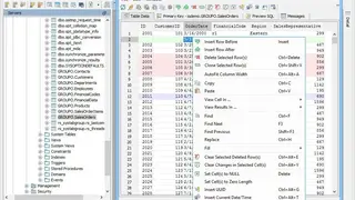 Sybase IQ screenshot