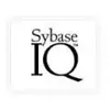 Sybase IQ