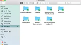 Syncplicity screenshot