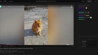 SyncTube screenshot