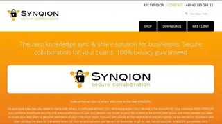 Synqion screenshot