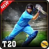T20 Cricket 2017