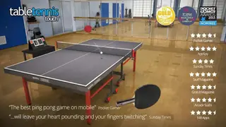 Table Tennis Touch screenshot