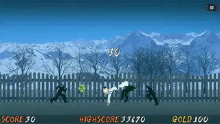 Taekwon Hero screenshot