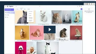 Taglery screenshot