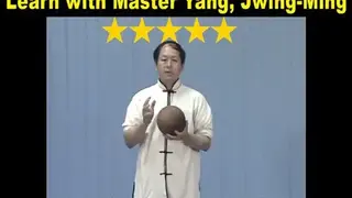 Tai Chi Ball Qigong screenshot