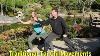 Tai Chi Fit STRENGTH screenshot