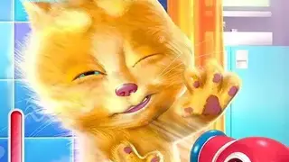 Talking Ginger screenshot