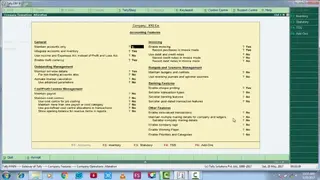 Tally Accounting Software screenshot