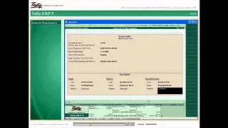 Tally Accounting Software screenshot