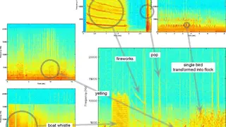 TAPESTREA screenshot