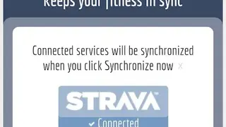 Tapiriik Sync screenshot