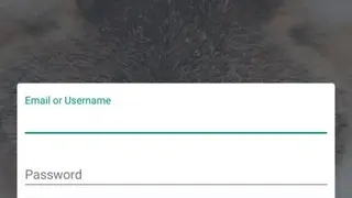 Tapiture screenshot