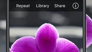 TapTapSee screenshot