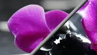 TapTapSee screenshot