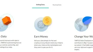 Tartle screenshot