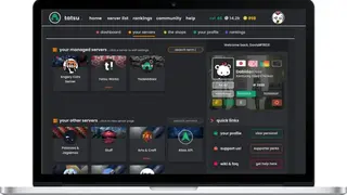 Tatsu screenshot