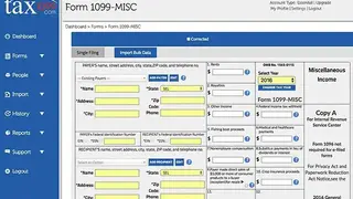Tax1099 screenshot
