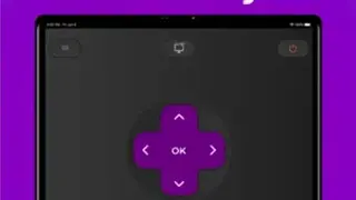 TCLEE : REMOTE FOR TCL ROKU TV screenshot
