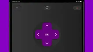 TCLEE : REMOTE FOR TCL ROKU TV screenshot