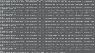 Tcpdump screenshot