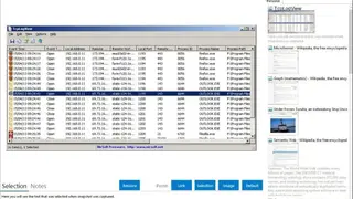 TcpLogView screenshot