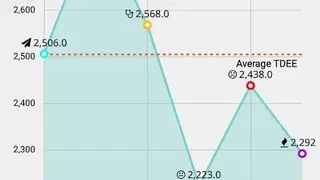 TDEE Calculator & Tracker screenshot