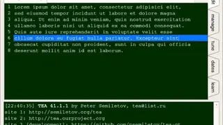 TEA Text Editor screenshot