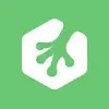 Teamtreehouse