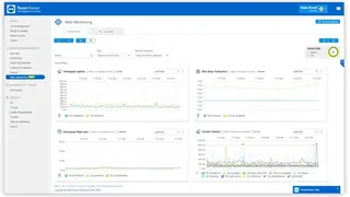 TeamViewer Web Monitoring (Monitis) screenshot
