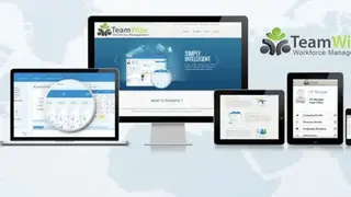 TeamWise screenshot