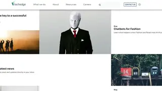 Techedgegroup screenshot