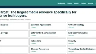 TechTarget screenshot