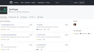 TechTarget screenshot