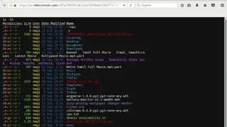 Teleconsole screenshot