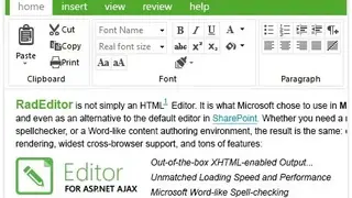 Telerik ASP.NET AJAX Editor screenshot