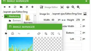 Telerik ASP.NET AJAX Editor screenshot