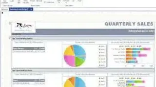 Telerik Reporting screenshot