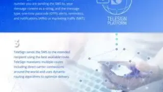 TeleSign SMS API screenshot