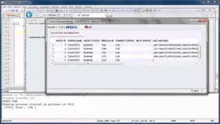 Temenos Transact screenshot