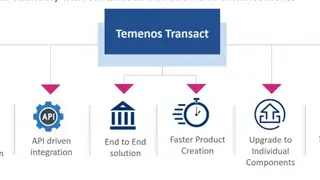Temenos Transact – Core Banking screenshot