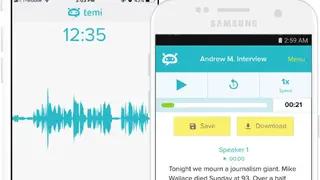 Temi screenshot