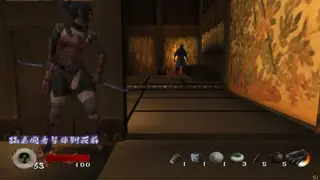 Tenchu: Return from Darkness screenshot
