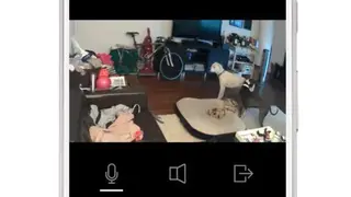 TendApp screenshot