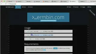 Termbin screenshot