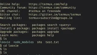 Termux screenshot