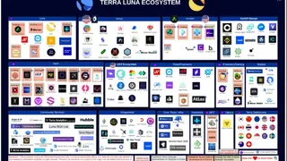 Terra screenshot