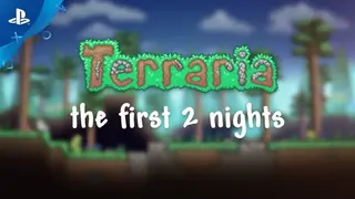 Terraria 2 screenshot