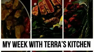 Terra’s Kitchen screenshot